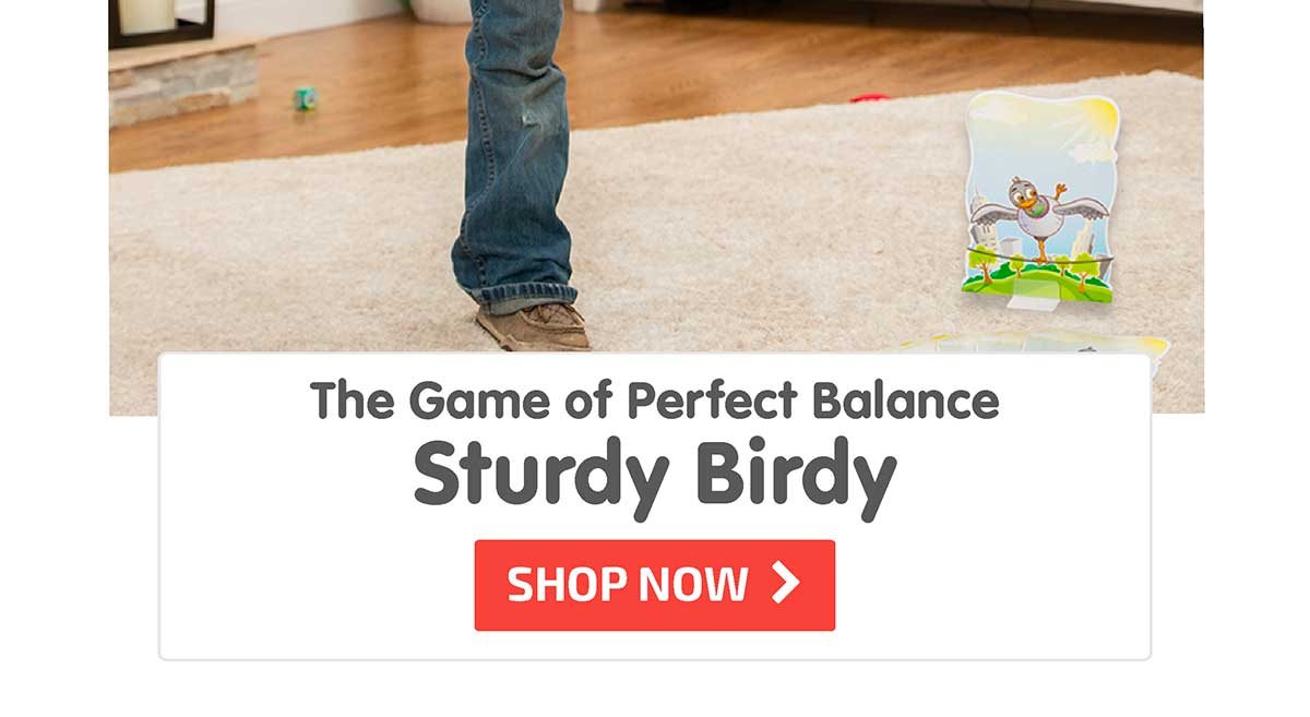 Sturdy Birdy: The Game of Perfect Balance - Shop Now