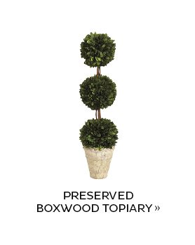 Preserved Boxwood Topiary