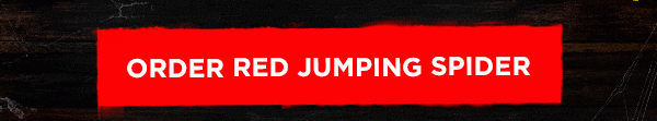 shop Red Jumping Spider