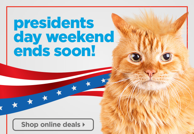 President's Day Weekend ends soon! Shop online deals >