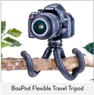 Shop BoaPod Flexible Travel Tripod