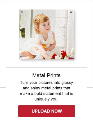 Metal Prints