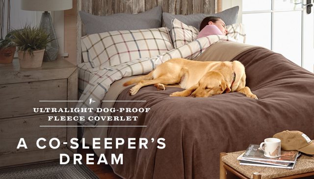 A CO-SLEEPER'S DREAM
