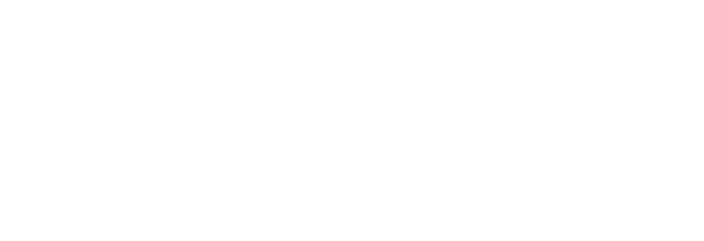 Vans Logo