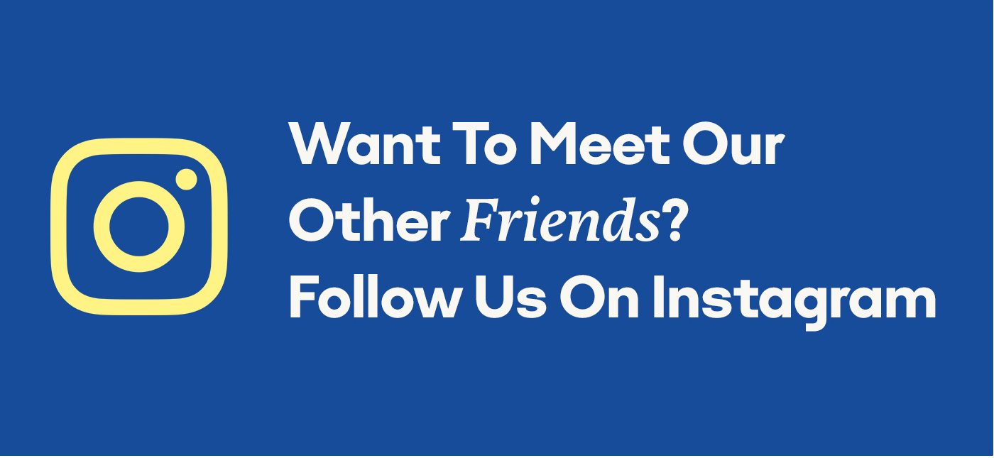 Want to meet our other friends? Follow us on Instagram.
