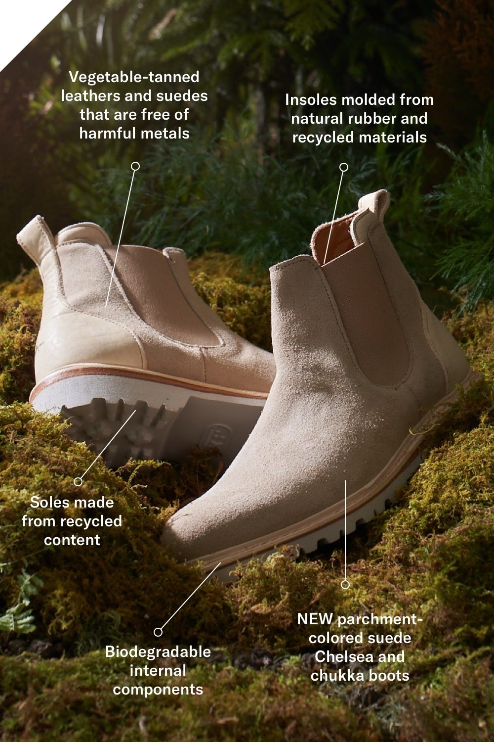 Shop Discovery Chelsea Boots