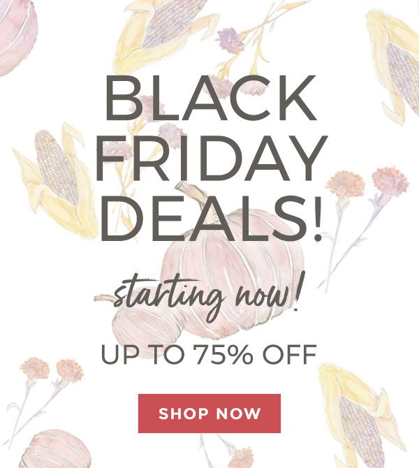 burt's bees baby black friday