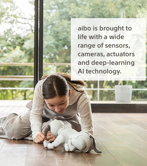 aibo is brought to life with a wide range of sensors, cameras, actuators and deep-learning AI technology.