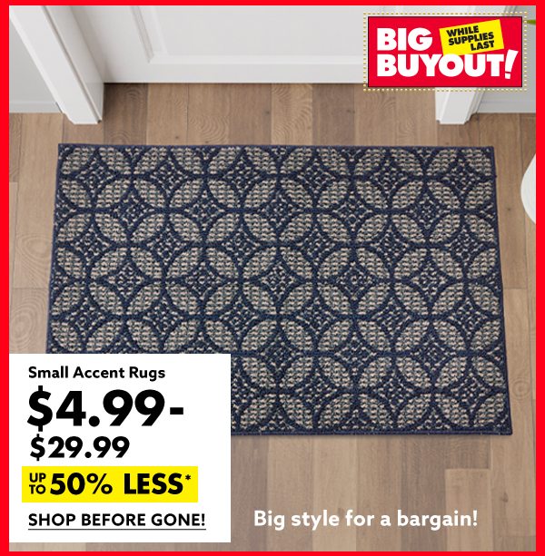 Small Accent Rugs