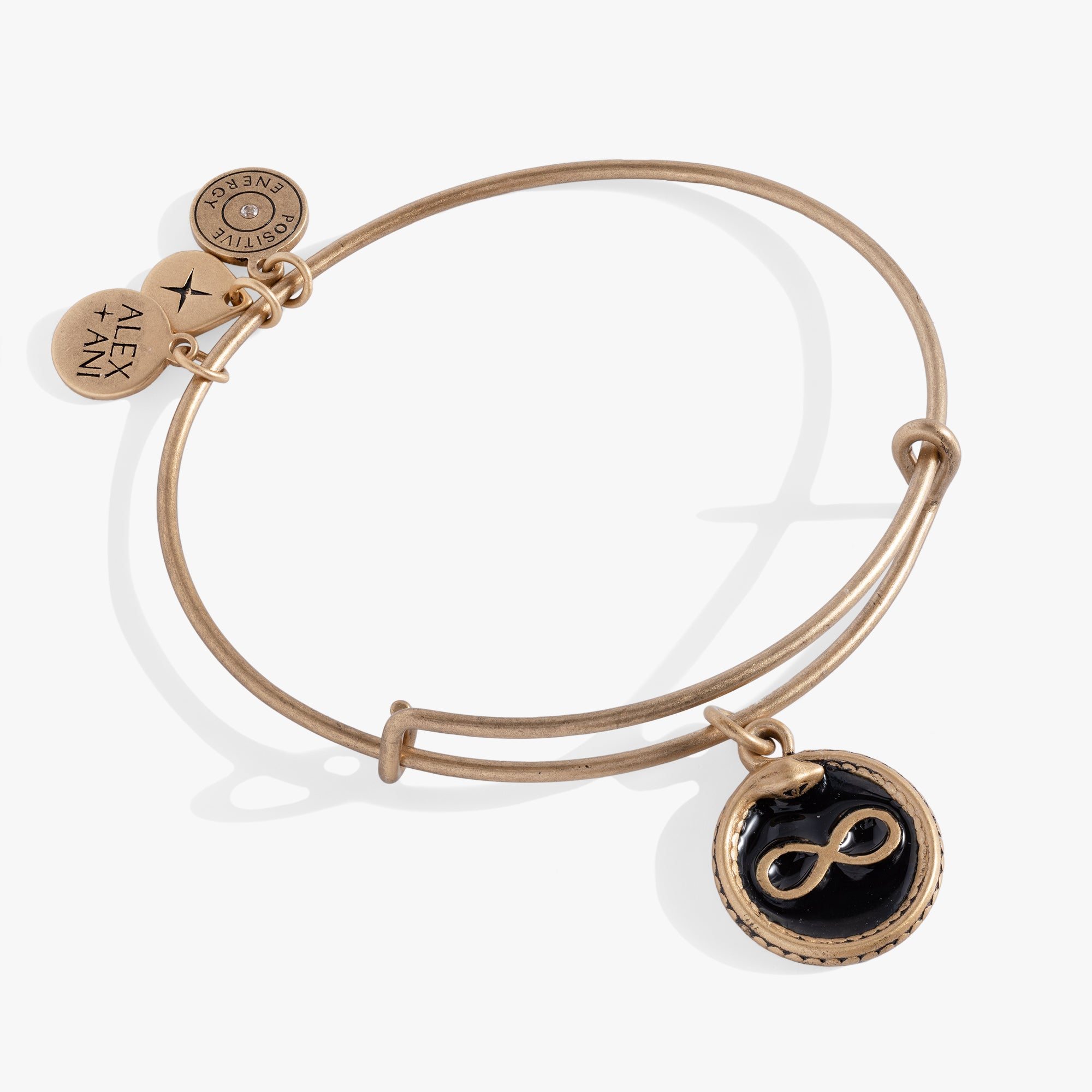 Image of Untamed Snake Charm Bangle