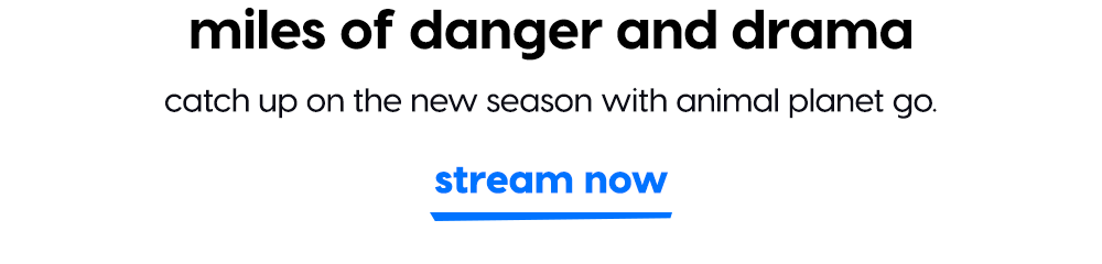 miles of danger and drama - catch up on the new season with animal planet go - stream now