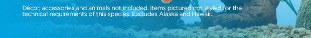 Décor, accessories and animals not included. Items pictured not styled for the technical requirements of this species. Excludes Alaska and Hawaii.