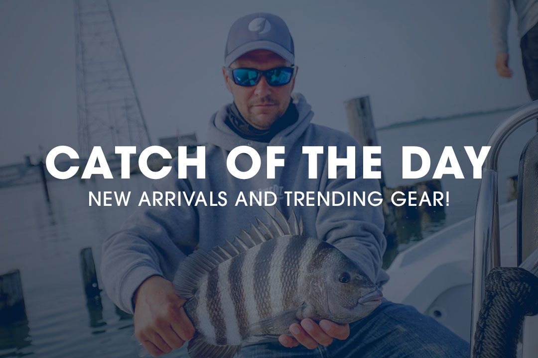 Catch of the day - New arrivals and trending gear!