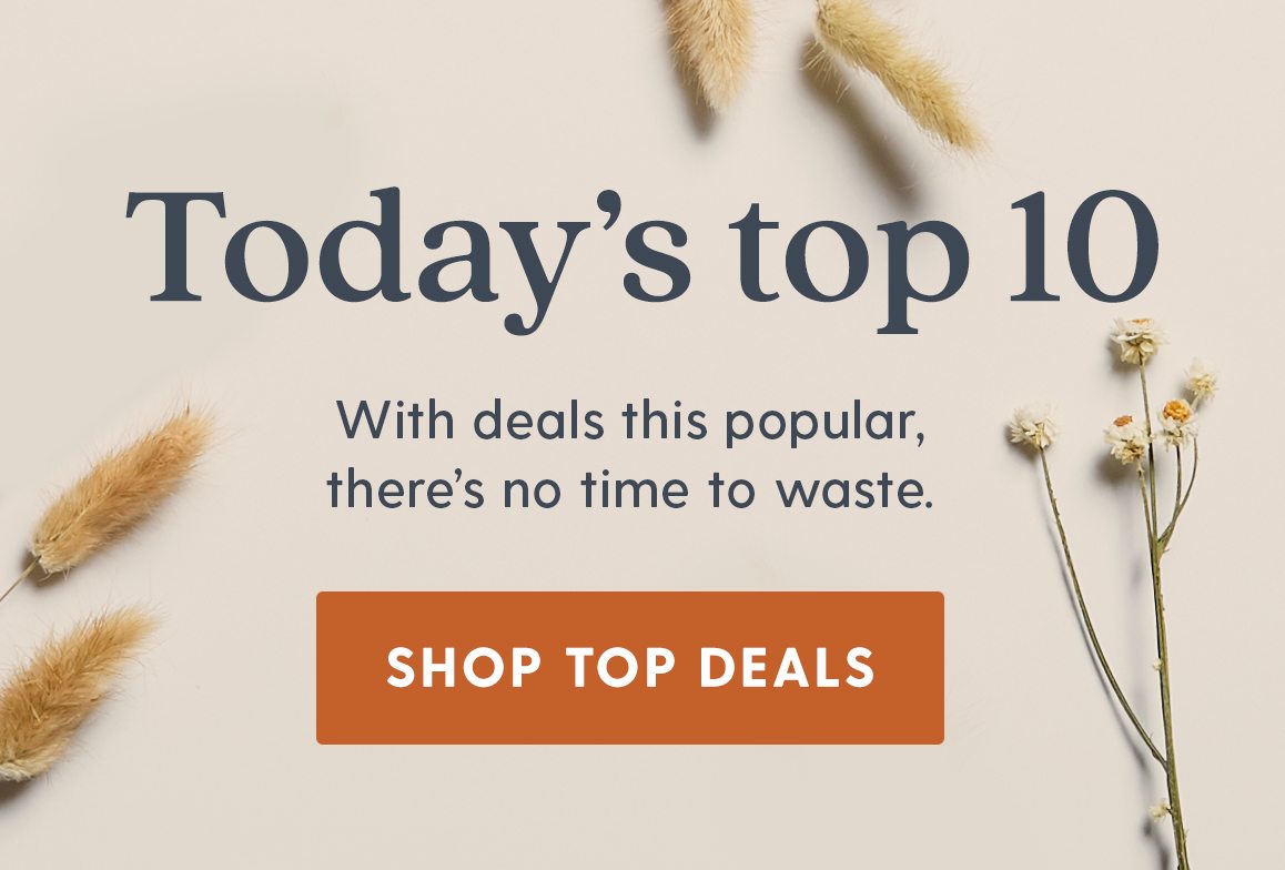 Today's top 10. With deals this popular, there's no time to waste. Shop Top Deals.