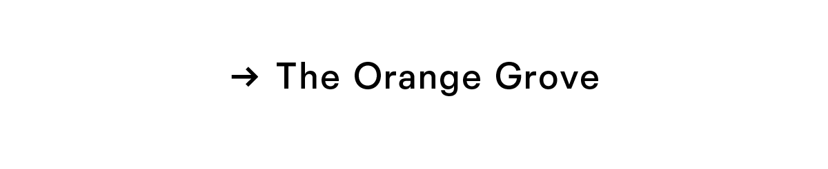 The Orange Grove