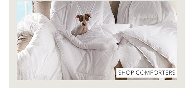 Shop Comforters