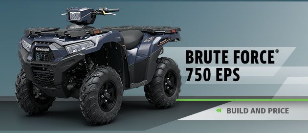 BRUTE FORCE® 750 EPS