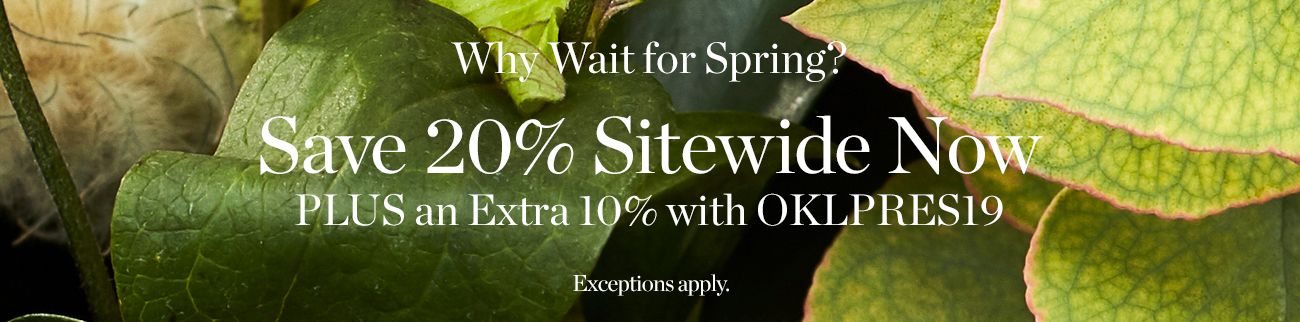 20% off sitewide + Extra 10%