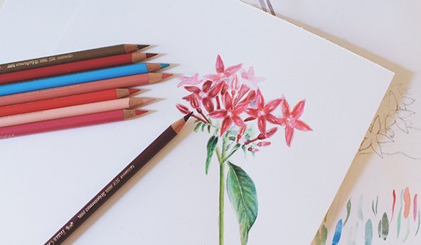 Mixed Media Flower Drawings Are Pure Springtime on a Page