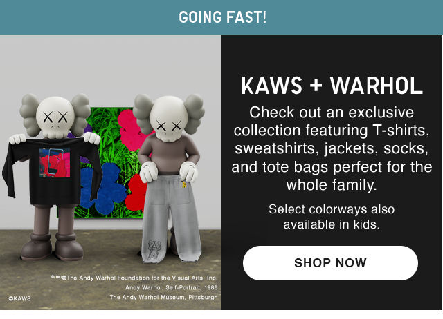 BANNER 2 - GOING FAST KAWS AND WARHOL SHOP NOW