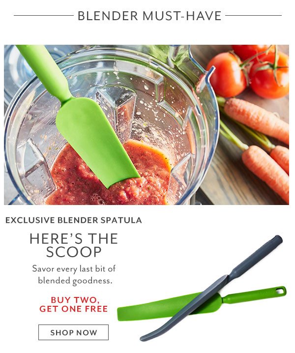 Blender Spatula