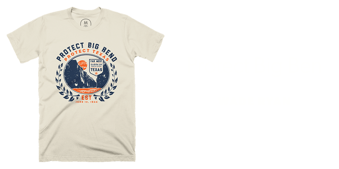Protect Big Ben by Wade Ryan