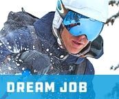 Dream Job