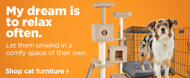 Shop cat furniture >