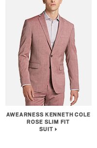 Awearness Kenneth Cole Rose Slim Fit Suit>