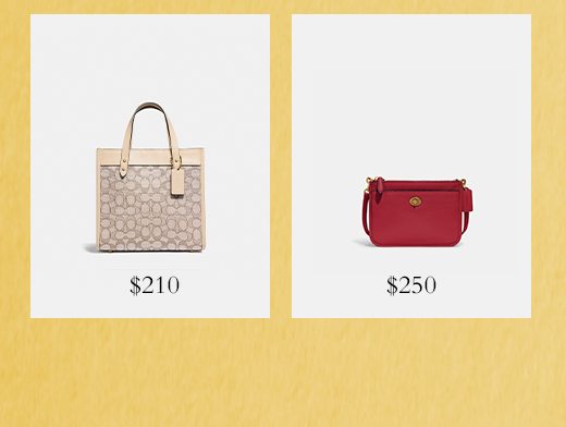 Shop Bags Under $250