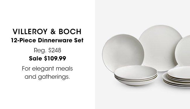 VILLEROY & BOCH DINNERWARE SET