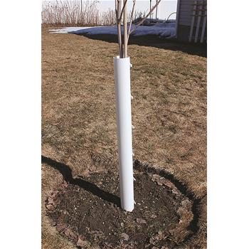 Protect tender trees from animals, equipment and sun
