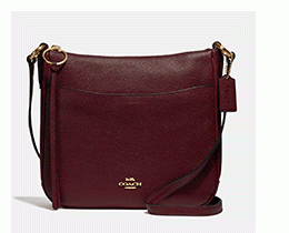 Burgundy Bag