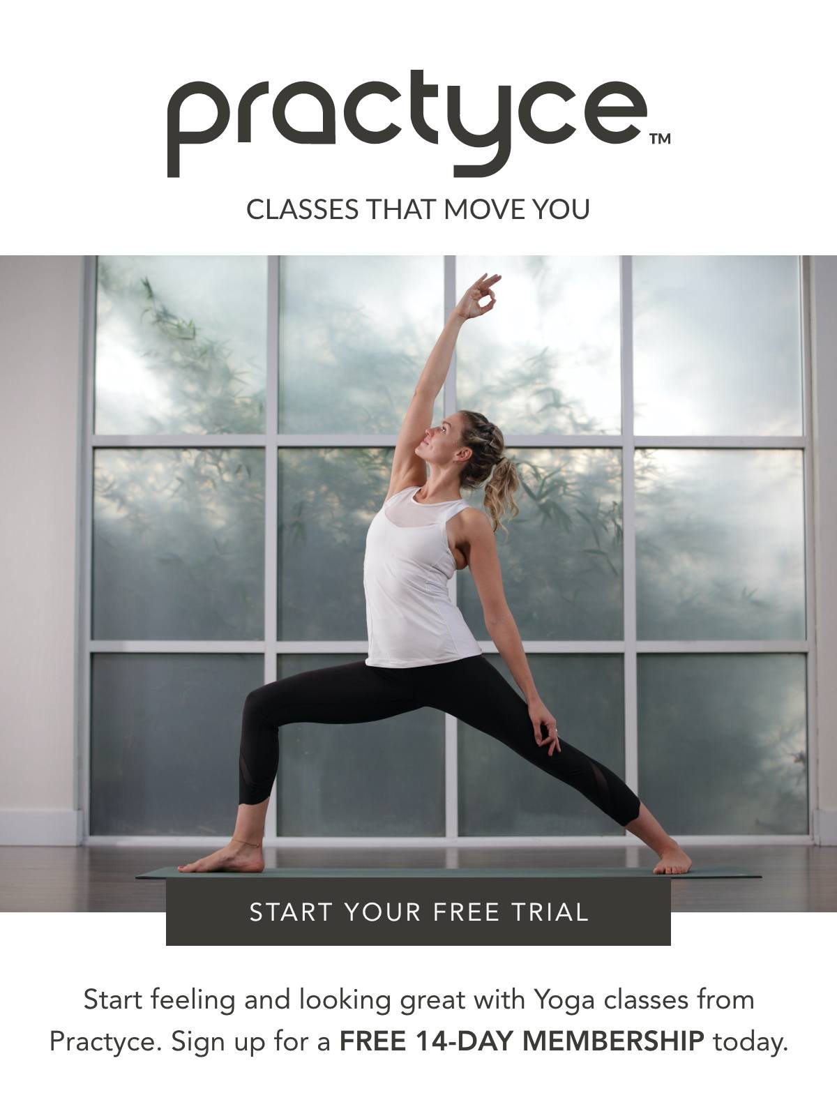 Practyce - Online Classes That Move You