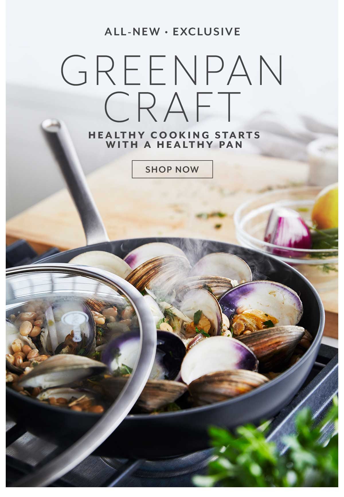 GreenPan Craft