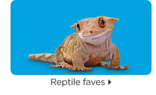 Reptile faves.