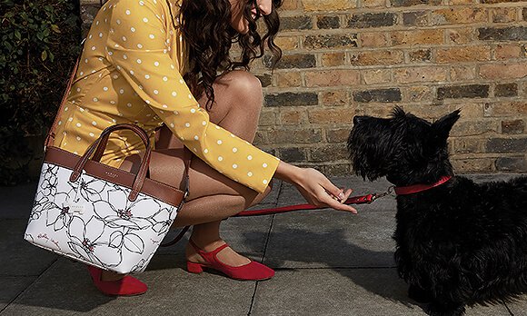 Free Radley Gift