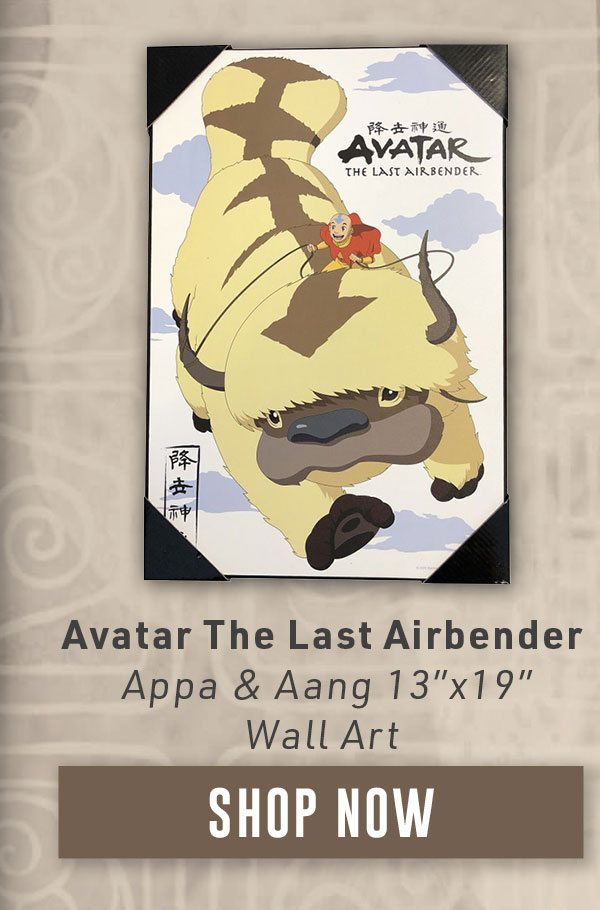 Appa & Aang 13x19 Wall Art