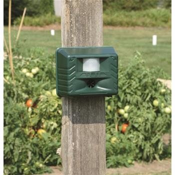 Motion-activated electronic YardGard humanely repels nuisance pests for up to 4,000 sq. ft.