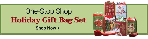 One-Stop Shop Holiday Gift Bag Set - Shop Now