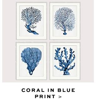 CORAL IN BLUE PRINT >