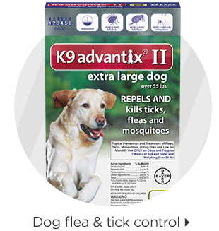 Dog flea & tick control > 