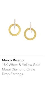 MARCO BICEGO