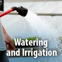 Watering and Irrigation