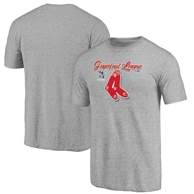 Fanatics Branded Boston Red Sox Gray 2020 Spring Training Mentor Tri-Blend T-Shirt