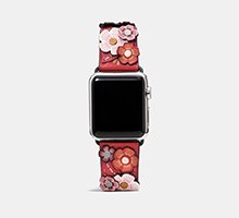 Watch Band