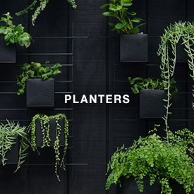 planters