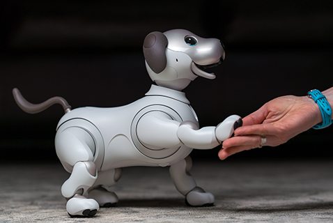 Turn on images to see aibo in action