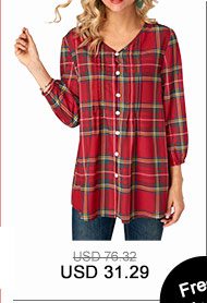 Blouson Sleeve Plaid Print V Neck Blouse