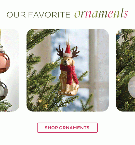 Our Favorite Ornaments - Shop Ornaments